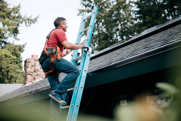 Reliable Laurel, FL Roofing Services Solutions